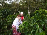 Don_Monolo_coffee_plantation_Pereira_Colombian.JPG